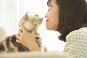 ペット火葬｜ペット火葬はペットセレモニーおおくら