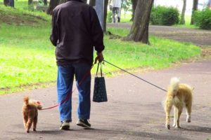 ペット火葬