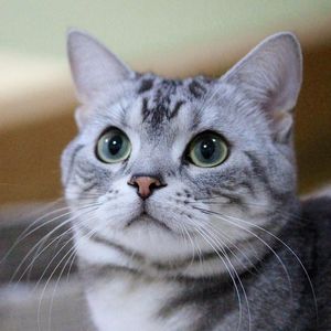 北牟婁郡 C・T様