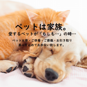 ペット火葬