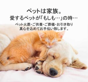 ペット火葬はペットセレモニーおおくら