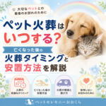 ペット火葬はいつする？亡くなった後の火葬タイミングと安置方法を解説