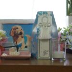 ペットの火葬後、遺骨はどのように保管すれば良い？