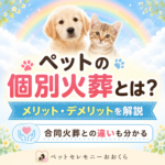 ペットの個別火葬とは？メリット・デメリットや合同火葬との違いを分かりやすく解説
