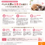 ペット火葬の注意点を紹介！トラブルを未然に防ごう！