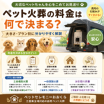 ペット火葬の料金は何で決まる？大きさ・プラン別に分かりやすく解説