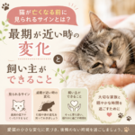 猫が亡くなる前に見られるサインとは？最期が近い時の変化と飼い主ができること