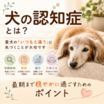 犬の認知症とは？初期症状・原因・進行・介護方法と最期まで穏やかに過ごすためのポイント