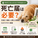 犬が亡くなったら死亡届は必要？手続き・期限・火葬との順番を分かりやすく解説