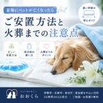 夏場にペットが亡くなったら｜ご安置方法と火葬までの注意点