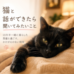 猫と話ができたら聞いてみたいこと
