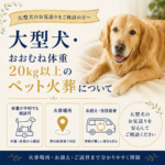 大型犬・おおむね体重20kg以上のペット火葬について