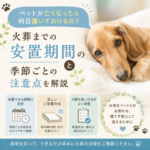 ペットが亡くなったら何日置ける？火葬までの安置期間と季節ごとの注意点